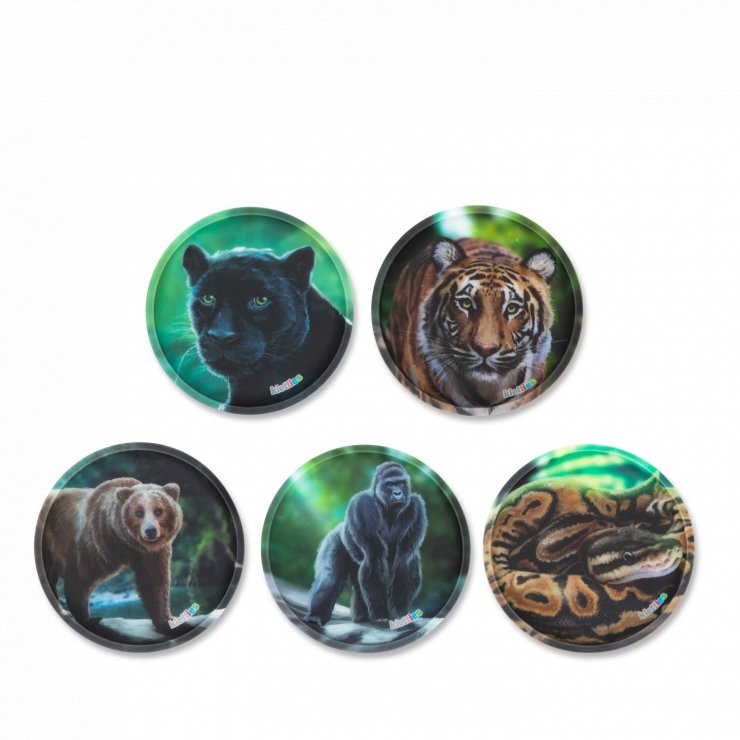 ergobag Klettie 5-piece Set Matte Jungle - ergokid Singapore