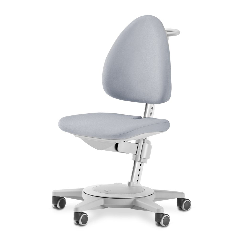 moll Maximo Grey - Classic - ergokid Singapore