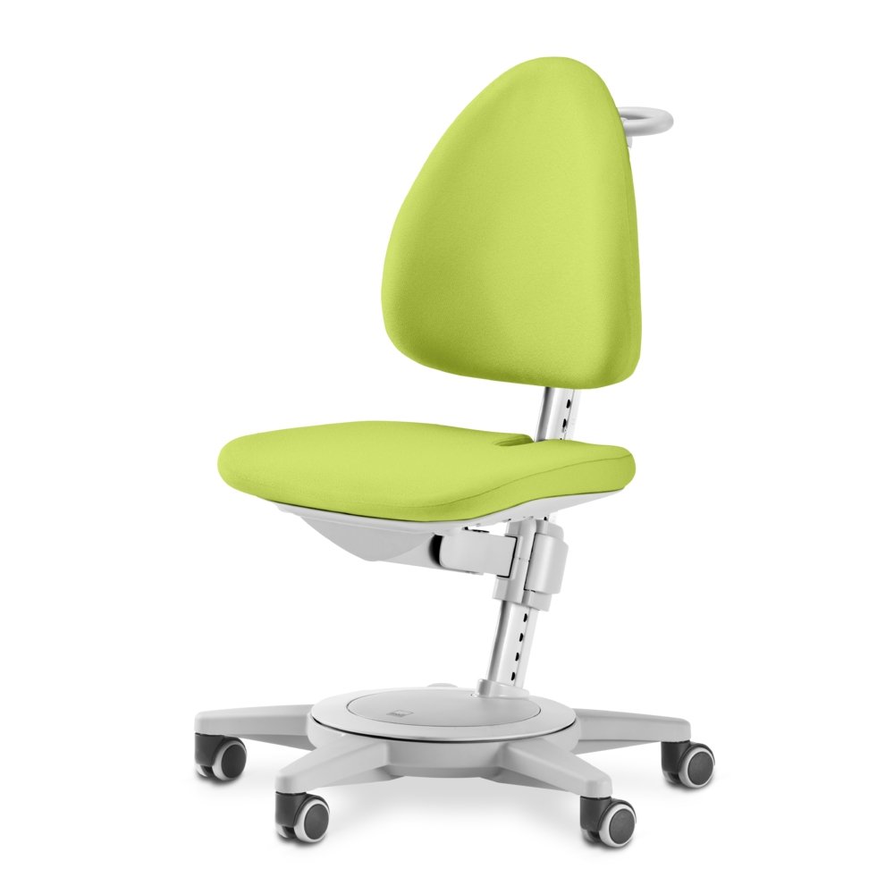 moll Maximo Grey - Classic - ergokid Singapore