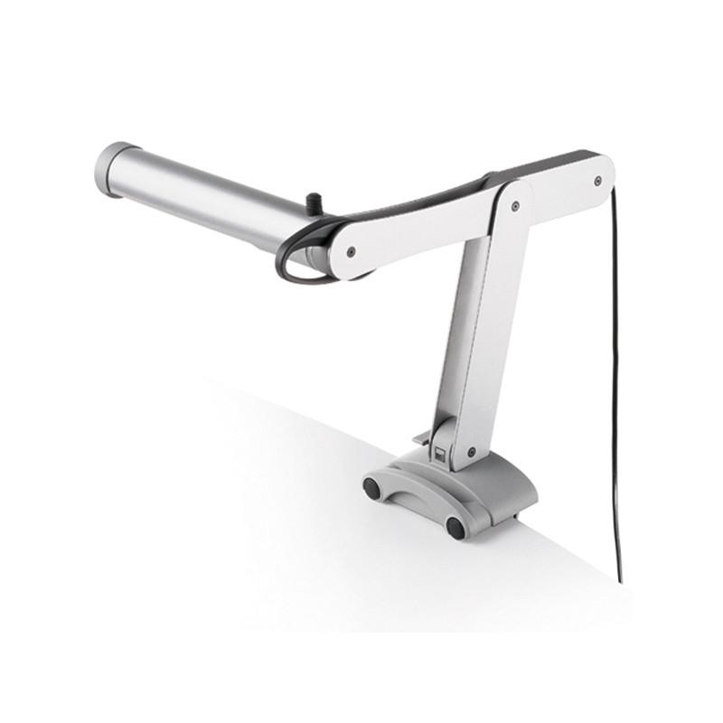 moll Mobilight - ergokid Singapore